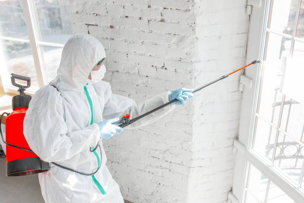 Best Mold Remediation for Healthcare Facilities  in Brooklyn, IA